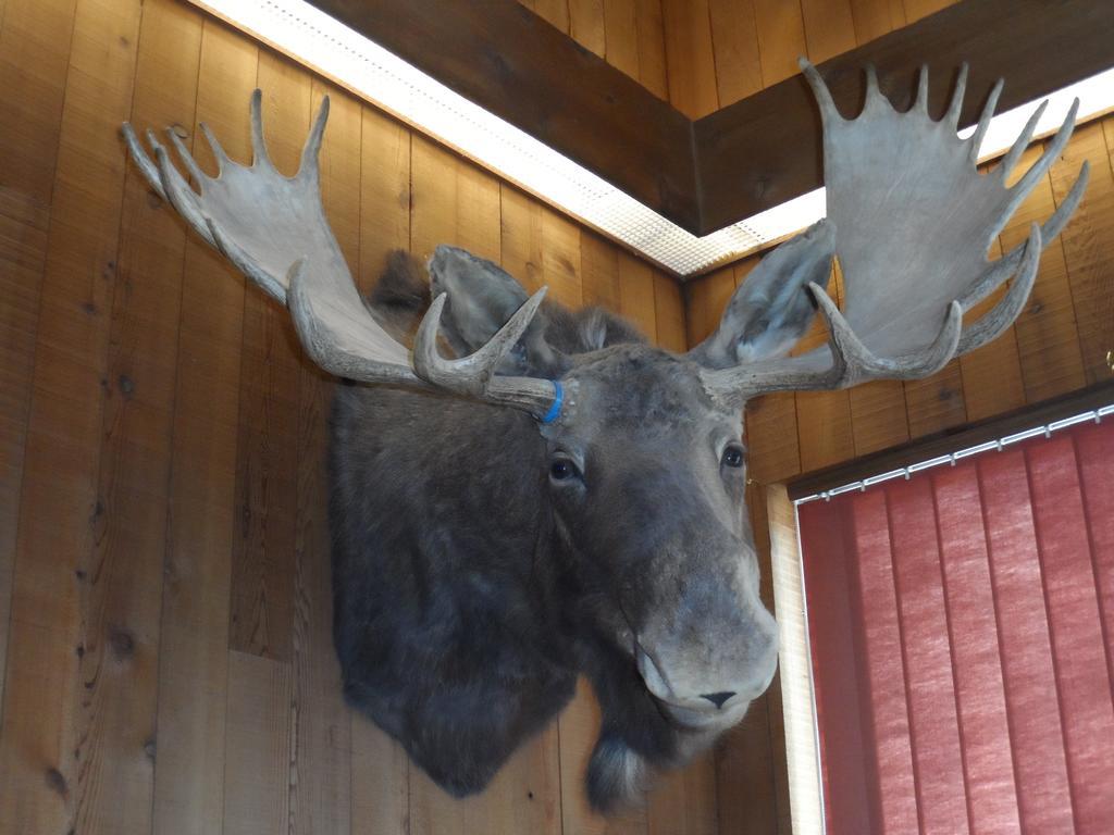 Bear Lodge Motel サンダンス エクステリア 写真